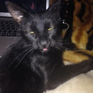 Meet your Posher, Naomi